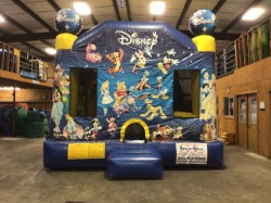 temp img 552107695 353219148 World of Disney Combo 4