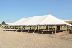 40X80 BACKYARD POLE TENT