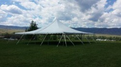 40X40 BACKYARD POLE TENT