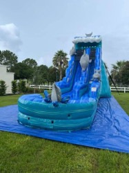 IMG 0194 1769920636 1 20 Ft Dolphin Waterslide