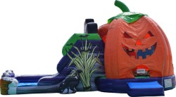 temp img 719497966 560003524 1 Pumpkin Combo