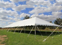 40X120 BACKYARD POLE TENT