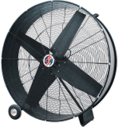 temp img 967985700 391752854 BIG FAN